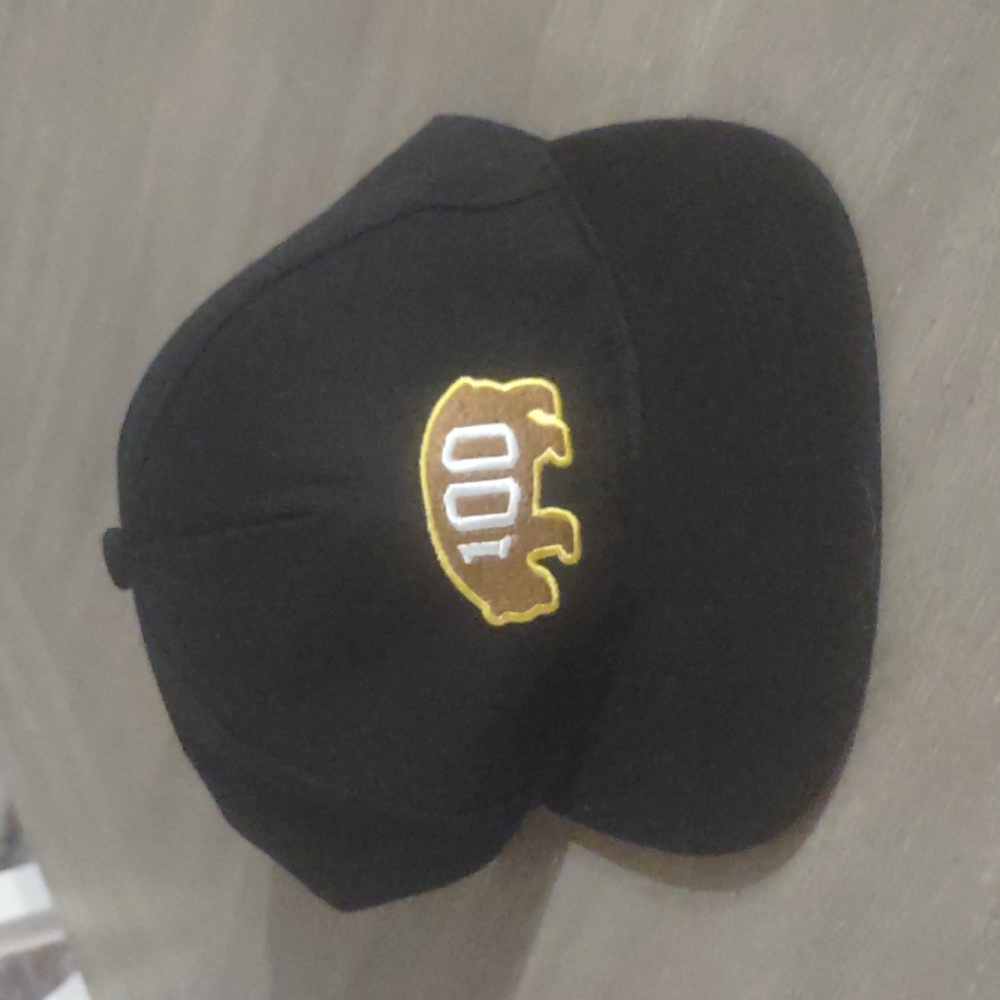 Boston Bruins centennial season hat